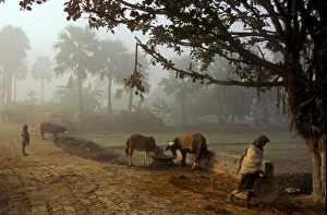 Bilder Datiert 27. Januar 2000: Village scene