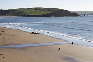 UK Travel Destinations Europe Drucke: Walker on beach, Bigbury on Sea, Devon, England, United Kingdom, Europe