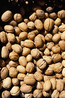 Walnut Photography Drucke: Walnuts