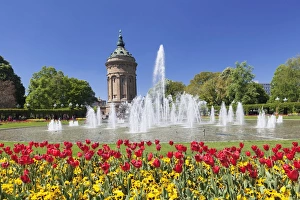 Germany Travel Guide Drucke: Wasserturm am Friedrichsplatz, Mannheim, Baden-Wurttemberg, Germany, Europe