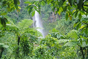French Antilles Scenery Drucke: Waterfall, Guadeloupe