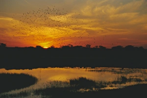 Namibia Travel Destination Drucke: Waterhole at sunset