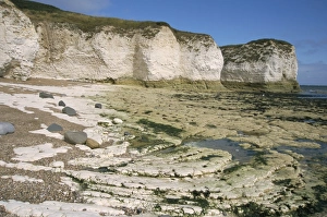 Yorkshire Coast Scenery Drucke: Wave-cut platform, and chalk cliffs, Flamborough South Landing, Yorkshire
