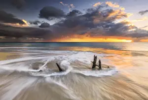 Caribbean Sea Scenery Drucke: The waves and caribbean sunset frames tree trunks on Ffryes Beach