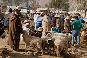 Moroccan Market Scene Drucke: Weekly market