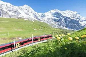 Drucke von Die Wengernalpbahn ist eine Strecke der Eisenbahn mit Raddampf Schweiz Drucke: Die Wengernalpbahn ist eine Strecke der Rangierbahn durch Blumen und Schneewehen in den Bergen von Wengen im bernischen