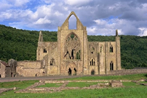 European Ruin Photography Drucke: West Front