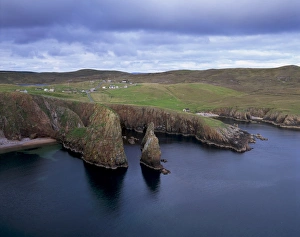 Contemporary Scottish Landscapes Drucke: Wester Wick and hamlet of Westerwick