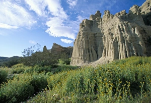 Mojave Desert Rock Formations Drucke: White House Cliffs