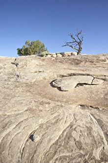 Barren Rock Formations Drucke: White rock