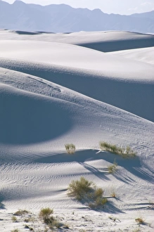 New Mexico Travel Destinations Drucke: White Sands Desert