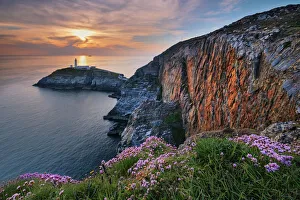 Drucke von Blumen in der Wildnis auf den Klippen über dem Felsenlighthouse am Sonnenuntergang an Südstack-Lichtturm im Süden von Anglesey in Nordwales im Vereinigten Königreich Europa Anglesey Drucke: Wilde Blumen auf den Klippen über dem Südstack-Fernstein im Sonnenuntergang in Südstack bei Anglesey in Nordwales im