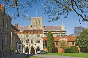 Drucke von Winchester Dom und Umgebung , Winchester , Hampshire , England , Vereinigtes Königreich , Europa Winchester Drucke: Winzehaus-Kathedrale und Vorplatz Winchestern in Hampshire im Vereinigten Königreich Europa
