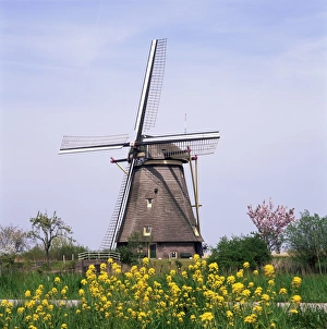 Kinderdijk Windmill Drucke: Windmill, Kinderdijk