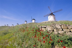 Wind Power Europe Drucke: Windmills in Consuegra