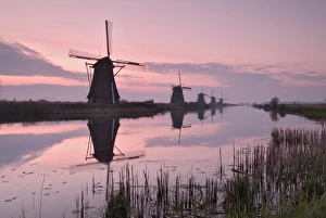 Kinderdijk UNESCO Site Drucke: Windmills at Kinderdijk at dawn
