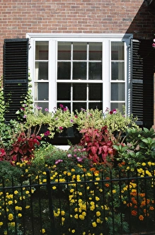 Contemporary American Architecture Style Drucke: Window and small garden