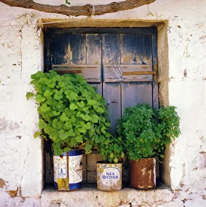 European Coastal Views Drucke: Windowsill
