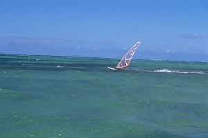 Pigeon Point Beach Drucke: Windsurfer at Pigeon Point