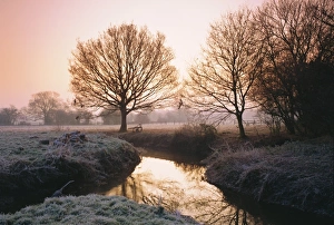 Drucke von Wintersdämmerung am Fluss Bourne in Chobham, Surrey im Vereinigten Königreich Chobham Drucke: Wintersdämmerung am Fluss Bourne in Chobham, Surrey im Vereinigten Königreich