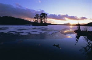 United Kingdom Rural Landscapes Drucke: Winter landscape