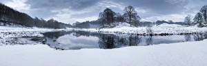 Lake District National Park Landscape Drucke: Winter view of River Brathay at dawn, under snow with reflections, near Elterwater Village