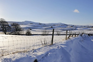 Yorkshire Dales Scenic Views Drucke: Winter view of snow covered fields, Wensleydale, Yorkshire Dales National Park