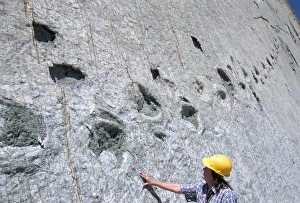Drucke von Die längsten Dinosaurier-Spuren der Welt, Cretaceous Titanosaurus, in der Nähe von Sucre, Bolivien, Südamerika Bolivien Drucke: Die längsten Dinosaurier-Spuren der Welt, Cretaceous Titanosaurus, bei Sucre.