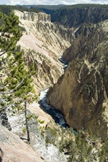 Yellowstone National Park Photos Drucke: Yellowstone Canyon