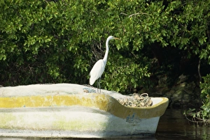 Yucatan Mexico Tourism Drucke: Yucatan, Mexico