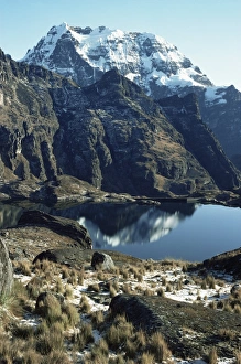 Drucke von Die Yungas-Höhen, Bolivien, Südamerika Bolivien Drucke: Die Yungas-Höhen, Bolivien, Südamerika