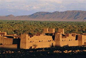 North African Village Life Drucke: Zagora, Draa Valley