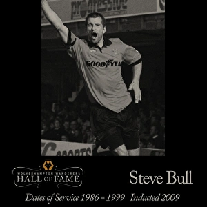 Stevie Bülle