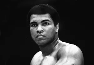 Trainingsbeschäftigung von Spinks-Ali II