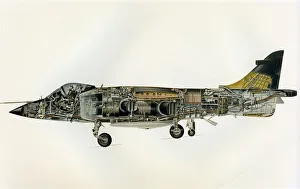 Künstlerische Wahrnehmung von Harrier