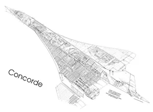 Konkord first Scherenziehung Drawings