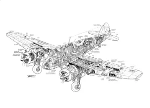 Bristol Beaufighter - Schnittzeichnung