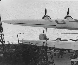 Drucke von crop Flug Drucke: Flug Pflanze