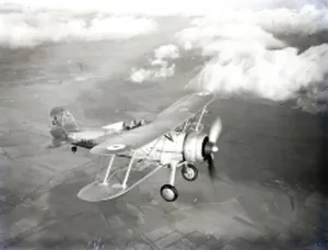 Vintage Monoplane Drucke: Flight, SUP00083