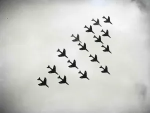 Black And White Military Image Drucke: Flight, SUP00119
