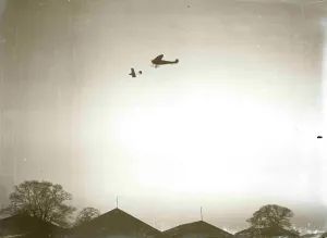 Propeller Driven Planes Drucke: Flight, SUP00133