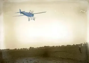 Sepia Toned Photography Drucke: Flight, SUP00149