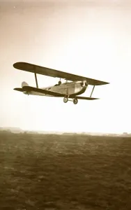 Flight Photography Drucke: Flight, SUP00168