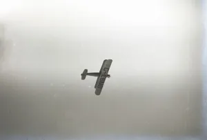 Vintage Monoplane Drucke: Flight, SUP00191
