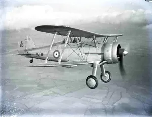 Der Gloster Gladiator (oder Gloster SS. 37) war ein britanischer Biplan-Jäger, der von der Royal Air Force (RAF), dem Royal Navy sowie einer Reihe anderer Luftwaffen im späten Jahrzehnt des Zweiten Weltkriegs eingesetzt wurde und war das letzte biplane Jägerflugzeug der RAF