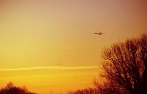 Airport Ground Handling Services Drucke: Queue for landing