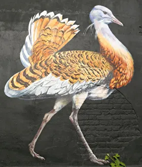 Vogel am Fenster