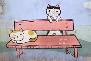 Katzen auf dem Banken