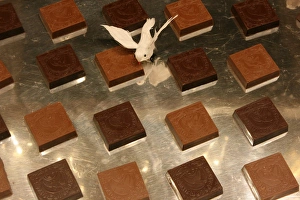 Dessert Ideas Drucke: Chocolate