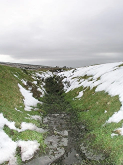 UK Photography Drucke: Dartmoor, Devon